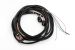 Greenline Motorsports - Apex APEXi AVC-R Service Parts