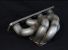 Greenline Motorsports - Blitz  Exhaust Manifold