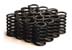 Greenline Motorsports - CRUISE  Heavy Duty Valve Springs