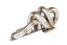Greenline Motorsports - GP Sports  EXAS EX Manifold