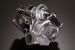 Greenline Motorsports - Monster Sport  RHB31FW