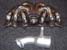 Greenline Motorsports - Rasty  Hyper Exhaust Manifold