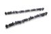 Greenline Motorsports - Real Speed Engineering SPEC-S Camshaft Set