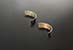 Greenline Motorsports - TOMEI  Competition Bearing (Conrod)