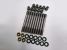Greenline Motorsports - TOMEI  Head Stud Set