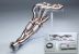 Greenline Motorsports - MAXIM WORKS  Exhaust Manifold