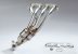 Greenline Motorsports - MAXIM WORKS  Exhaust Manifold