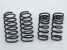 Greenline Motorsports - Apex APEXi Low Down Spring