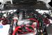 Greenline Motorsports - Blitz  Strut Tower Bar