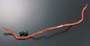 Greenline Motorsports - C-ONE  Sports Stabiliser Bar