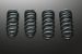 Greenline Motorsports - Mine's  EIBACH Spring Kit