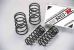 Greenline Motorsports - RS-R  RS-R Down Suspension Coil