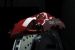 Greenline Motorsports - TOM's TOM's x BREMBO Monoblock GT Caliper Brake Kit