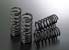 Greenline Motorsports - TRD  Low Height Spring Set
